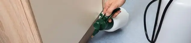 Bed bug exterminator treating baseboards and cracks with targeted spray in Riverside, CA
