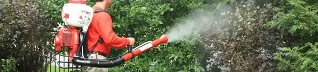 Mosquito control technician fogging shrubs and landscaping for mosquito treatment in Riverside, CA