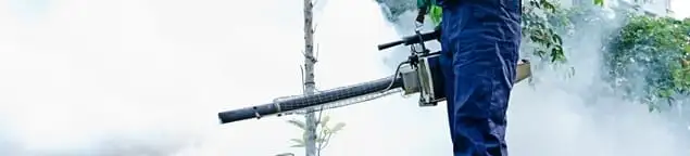 Pest control technician fogging an outdoor area for insect control in Riverside, CA