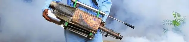 Fumigation technician using a fogger for deep pest treatment in Riverside, CA