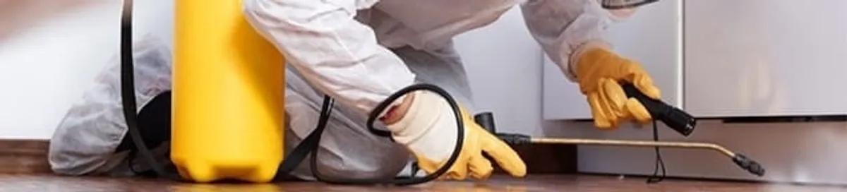 Roach exterminator treating cracks and crevices along kitchen baseboards in Riverside, CA