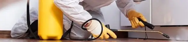 Roach exterminator treating cracks and crevices along kitchen baseboards in Riverside, CA