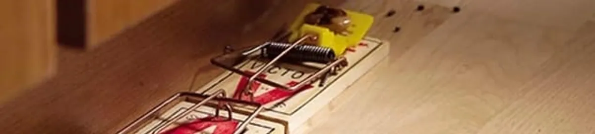 Rodent trap set indoors for rodent control and prevention in Riverside, CA
