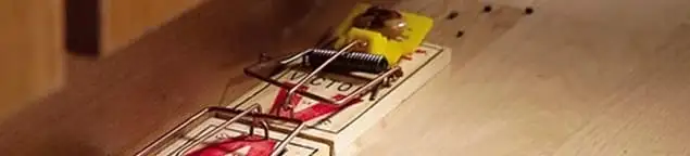 Rodent trap set indoors for rodent control and prevention in Riverside, CA