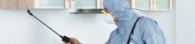 Termite treatment technician applying indoor pest control spray in Riverside, CA